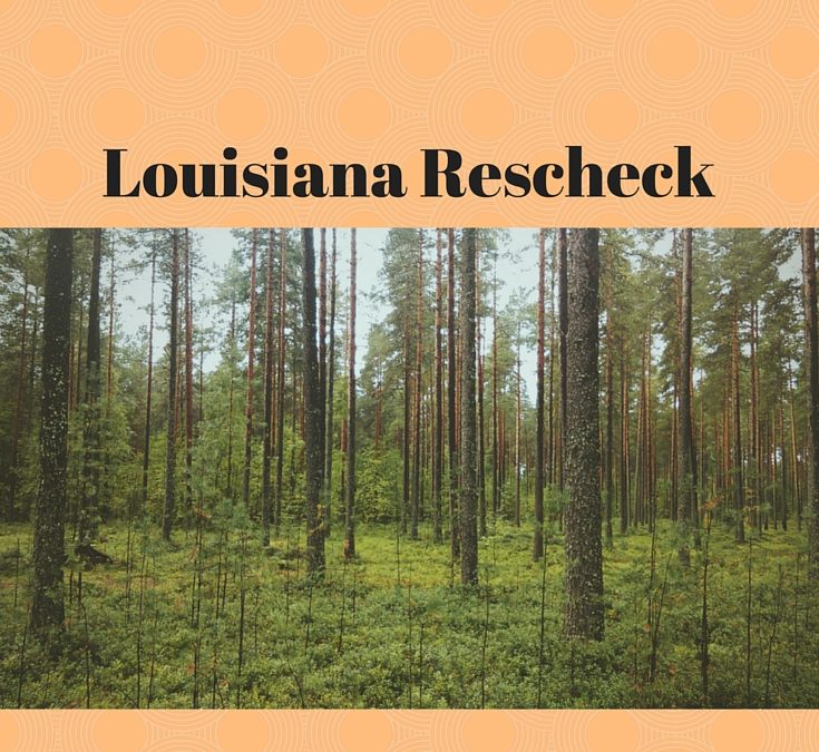 Rescheck Louisiana, Louisiana Rescheck, Louisiana Energy Code, Louisiana Building Codes