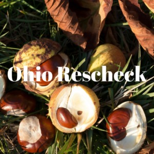 Ohio Rescheck, Akron Rescheck, Summit Rescheck, Columbus Rescheck